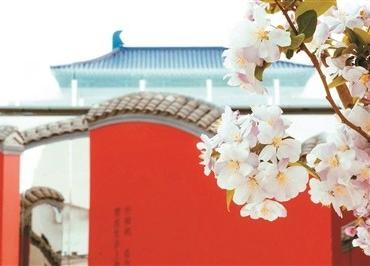 《只有红楼梦》文旅演艺不只是旅游附属品