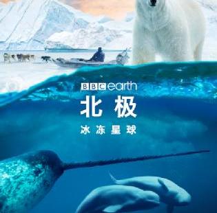 BBC Earth全新巨幕影片《北极：冰冻星球》 揭幕第十三届北京国际电影节科技单元