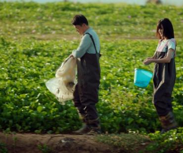 《生命如花爱如蜜》定档1月19日，花神助力打造独宠蜜恋