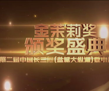 第二届中国长三角(盐城大纵湖)微电影大赛颁奖盛典